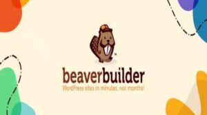 Beaver builder pro